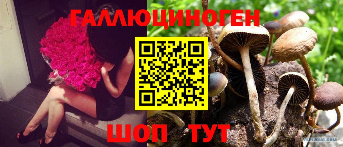 Псилоцибиновые грибы Magic Shrooms  Галлюциногенные грибы Magic Shrooms  Вход с VPN  Орёл 